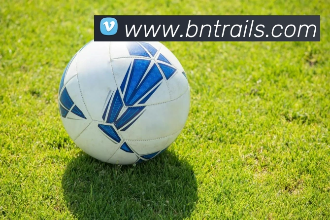 App Interface Preview